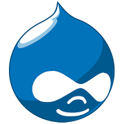 Drupal CMS is often used in government organisations and for enterprise class applications.